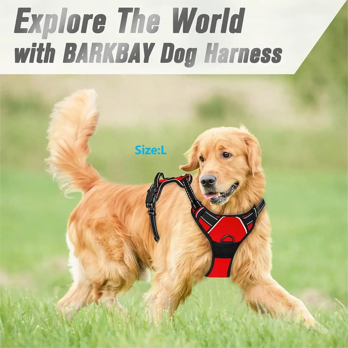 No-Pull Dog Harness – Reflective, with control handle and front clip (sizes S to XL)