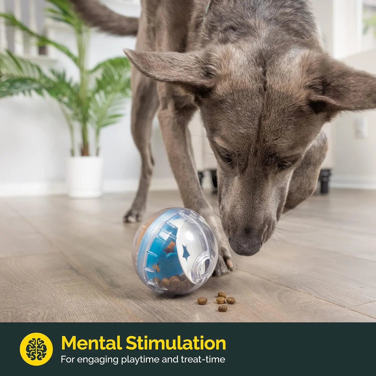 Dog Treat Dispensing Ball - Interactive toy that entertains and slows down eating